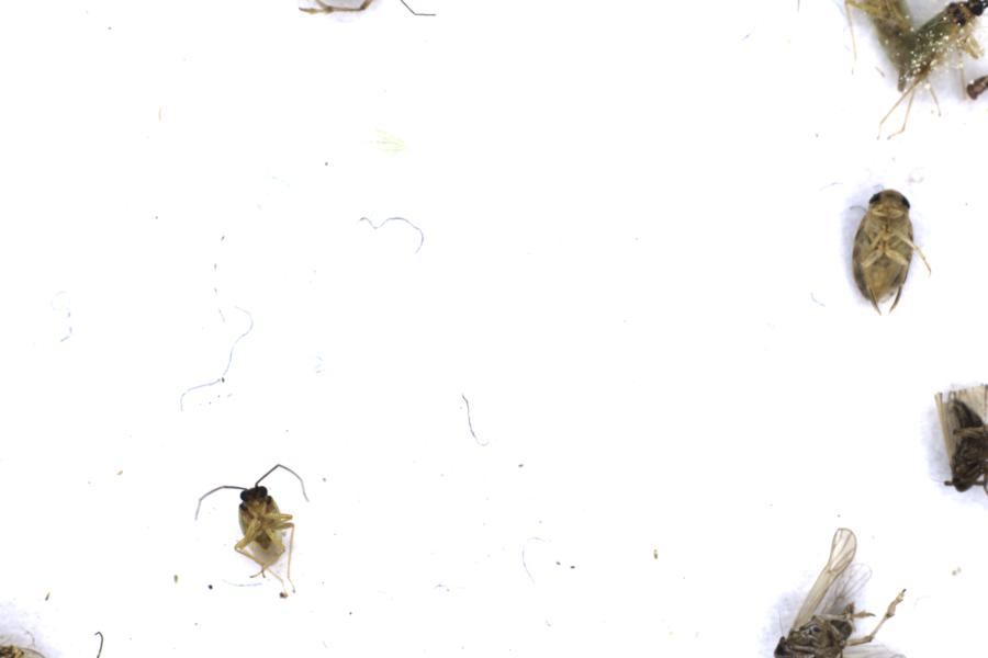 Image 120